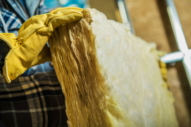 Best Garage Insulation Installation  in Owensville, IN