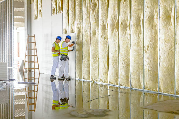 Best Insulation Contractor Near Me  in Owensville, IN